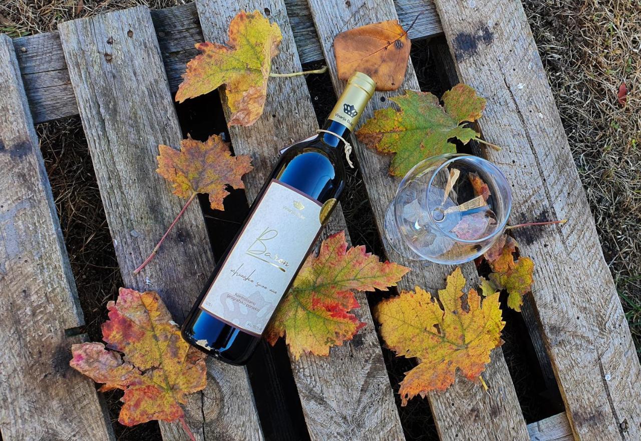 Djukic Winery Apartman Podgorica Kültér fotó