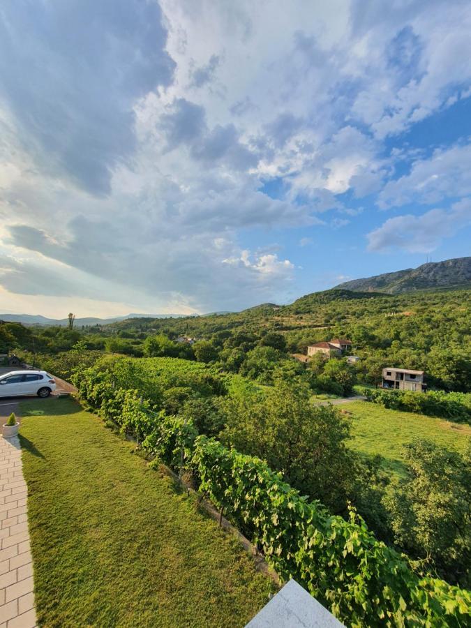 Djukic Winery Apartman Podgorica Kültér fotó