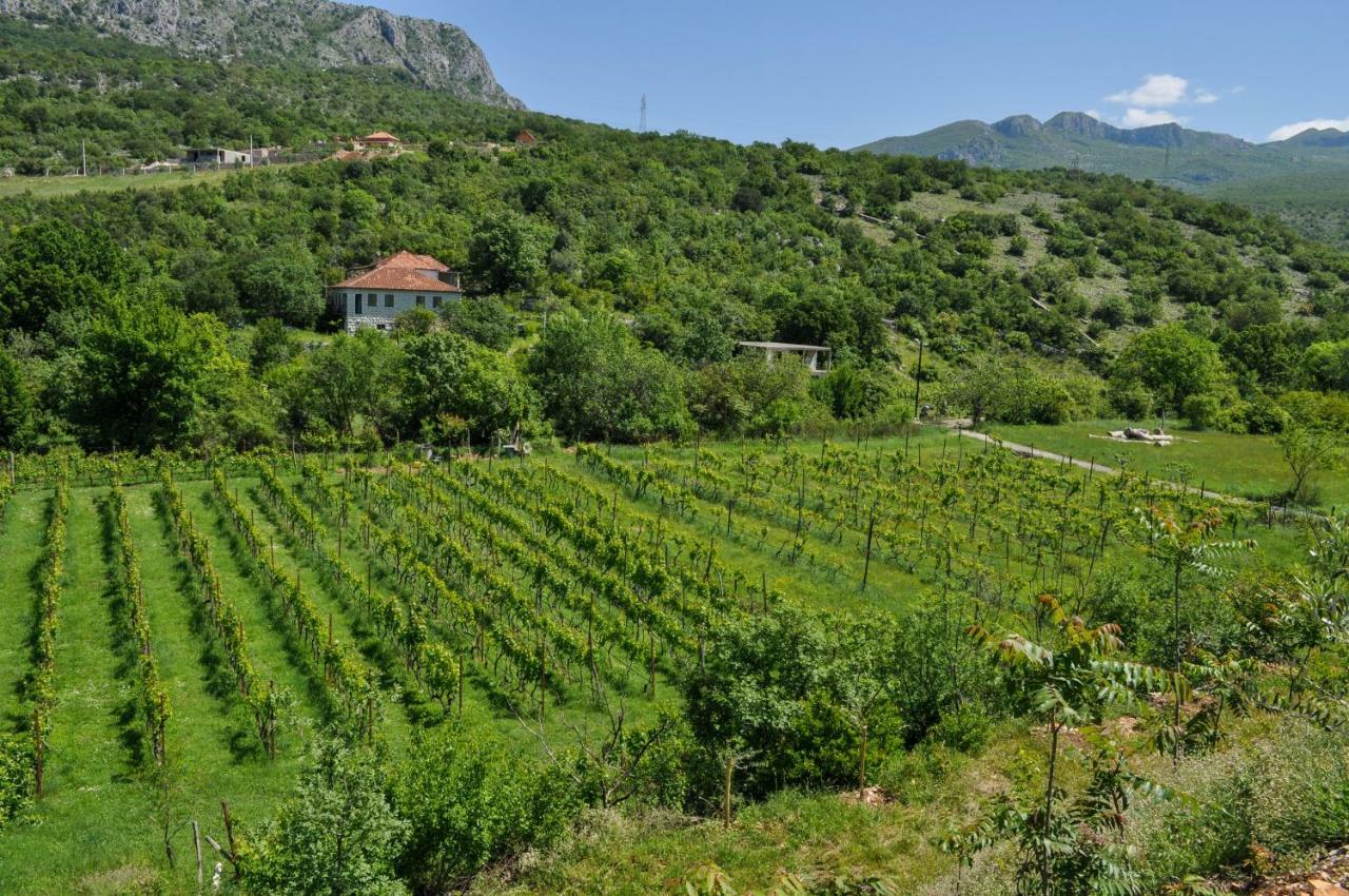 Djukic Winery Apartman Podgorica Kültér fotó